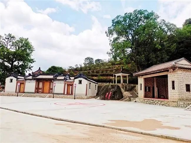 不吃.jpg